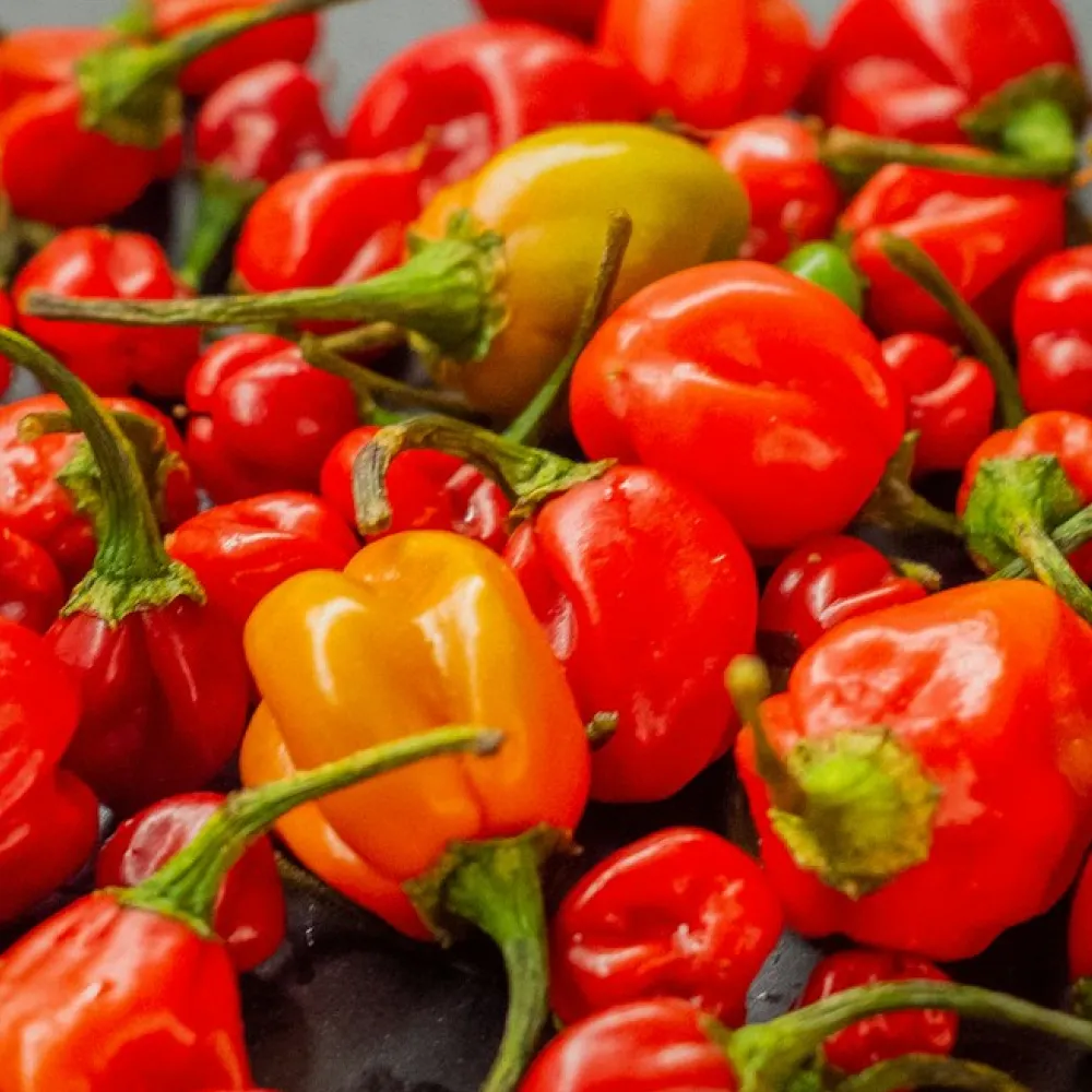 Salsa 6 Chile Habanero - Imagen 4